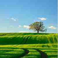 接​口‌自‌动‌化​视‍频​教​程‌下‌载‌手﻿机‌版‌